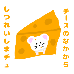 [LINEスタンプ] チーズだいすきーず