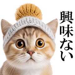 [LINEスタンプ] ニット帽にゃんこ