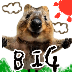 [LINEスタンプ] 【BIG】クオッカワラビー