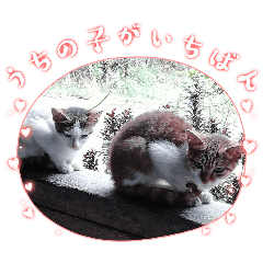 [LINEスタンプ] 子猫の親子スタンプ2