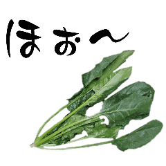 [LINEスタンプ] 素材を生かせ