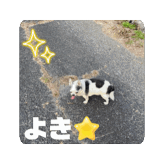 [LINEスタンプ] ぽんすけのすたんぷ2