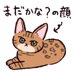 [LINEスタンプ] ベンガル猫です