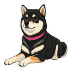 [LINEスタンプ] 【毎日】使える黒柴犬の可愛いスタンプ2