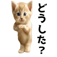 [LINEスタンプ] ネコステップ(クリームネコ)