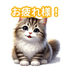 [LINEスタンプ] とにかくかわいい サイベリアン