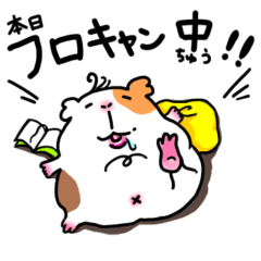 [LINEスタンプ] 愛されモルモットの日常スタンプ