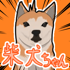 [LINEスタンプ] かわいい柴犬ちゃんのスタンプ