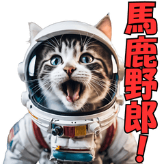 [LINEスタンプ] 宇宙飛行士になった猫@ブチ切れ＆日常会話