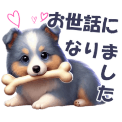 [LINEスタンプ] 可愛い犬が、素直な気持ちを伝えます♪