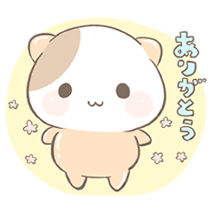 [LINEスタンプ] 森の癒しねこくまスタンプ【日常編】