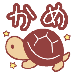 [LINEスタンプ] 毎日使える使えるカメスタンプ