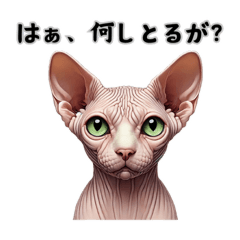 [LINEスタンプ] 富山弁のワンニャンの説教