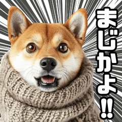 [LINEスタンプ] 寒がりなシバ犬。