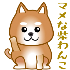 [LINEスタンプ] nobobi マメな柴わんこ