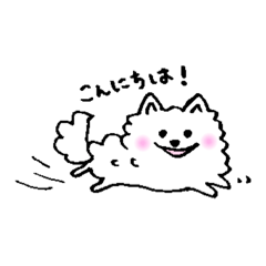 [LINEスタンプ] ほぼポメラニアンのはくまる 日常挨拶