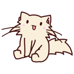 [LINEスタンプ] 白猫のしらたま 第3弾 きなこ