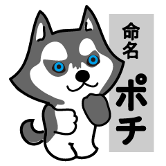 [LINEスタンプ] ハスキー犬ポチの応援メッセージ