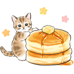 [LINEスタンプ] 毎日・スイーツいっぱい☆猫たちのスタンプ