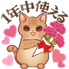 [LINEスタンプ] 1年中毎日使える！可愛いリボンはぴきゃと