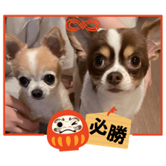 [LINEスタンプ] この世の悪★ザ・うーちー2！！