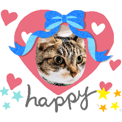 [LINEスタンプ] 卒業＆入学の読み聞かせさんと猫スタンプ3の画像（メイン）