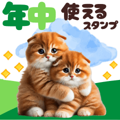 [LINEスタンプ] 年中使える♡スコティッシュ