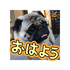 [LINEスタンプ] ジローg