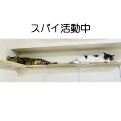 [LINEスタンプ] ラクレットとモモ