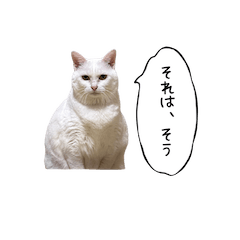 [LINEスタンプ] イヌ、ネコ、ときどきカメ