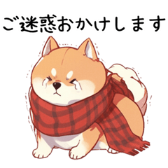 [LINEスタンプ] 風邪ひいた柴犬(インフルやコロナ)＆気遣い