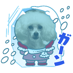[LINEスタンプ] プードル集合2