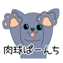 [LINEスタンプ] ロシアンブルーねっこさん