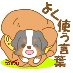 [LINEスタンプ] わんこ日和(バーニーズ)①-toYvu-