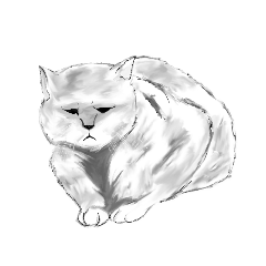 [LINEスタンプ] いかちーねこ