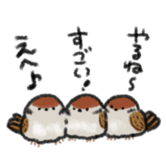 [LINEスタンプ] 頑張り屋さんなスズメ達