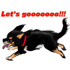 [LINEスタンプ] チワワ (Smooth Coat Chihuahua)スタンプ2