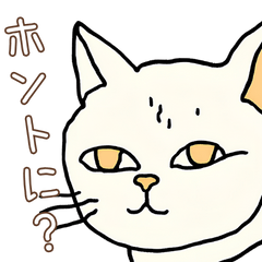 [LINEスタンプ] 日常で使える！かわいいネコたち2