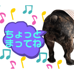 [LINEスタンプ] 最近のルーちゃんとローちゃん