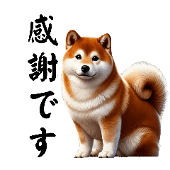 [LINEスタンプ] 敬語あいさつ【柴犬】