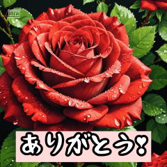 [LINEスタンプ] 花開く感情