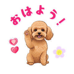 [LINEスタンプ] トイプードル(茶)1年中使えるスタンプ