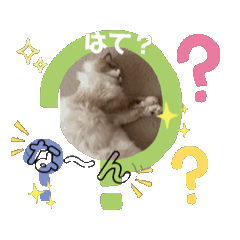 [LINEスタンプ] 動くてんてんの画像（メイン）