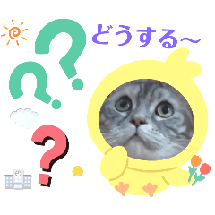 [LINEスタンプ] チイちゃん最新