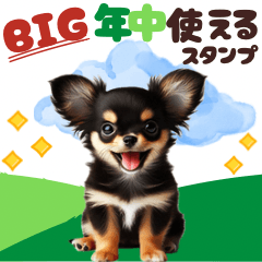 [LINEスタンプ] 【BIG】年中使える♡チワワ