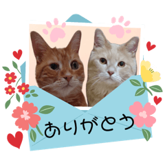 [LINEスタンプ] あずきちゃんときなこちゃん♡