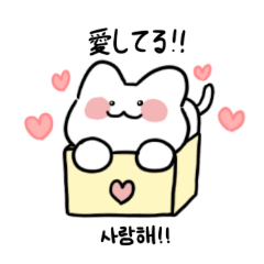 [LINEスタンプ] ほっぺたニャー (韓国語-日本語)