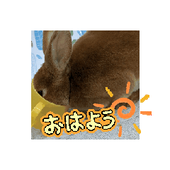 [LINEスタンプ] うさぎの福丸2の画像（メイン）