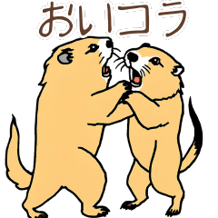 [LINEスタンプ] 日常で使える！かわいいマーモットたち2