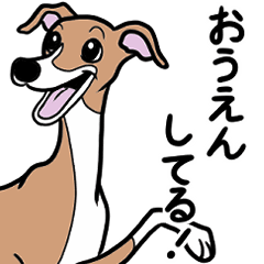 [LINEスタンプ] 1年中使えるイタグレ達のスタンプ